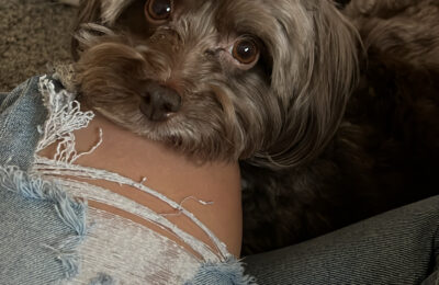 DD1AA92E-434F-4D97-A973-4F580BEAA9E6